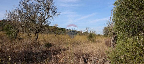 قطعة أرض في Sao Bartolomeu de Messines, Portugal 34640متر مربع رقم 35996 9