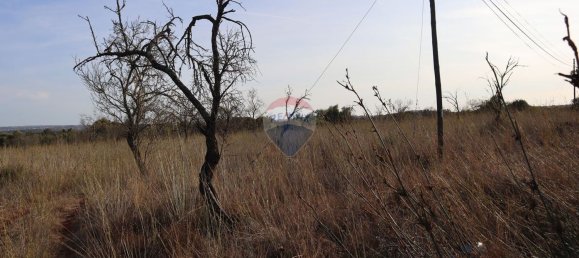 قطعة أرض في Sao Bartolomeu de Messines, Portugal 34640متر مربع رقم 35996 6