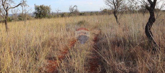 قطعة أرض في Sao Bartolomeu de Messines, Portugal 34640متر مربع رقم 35996 7