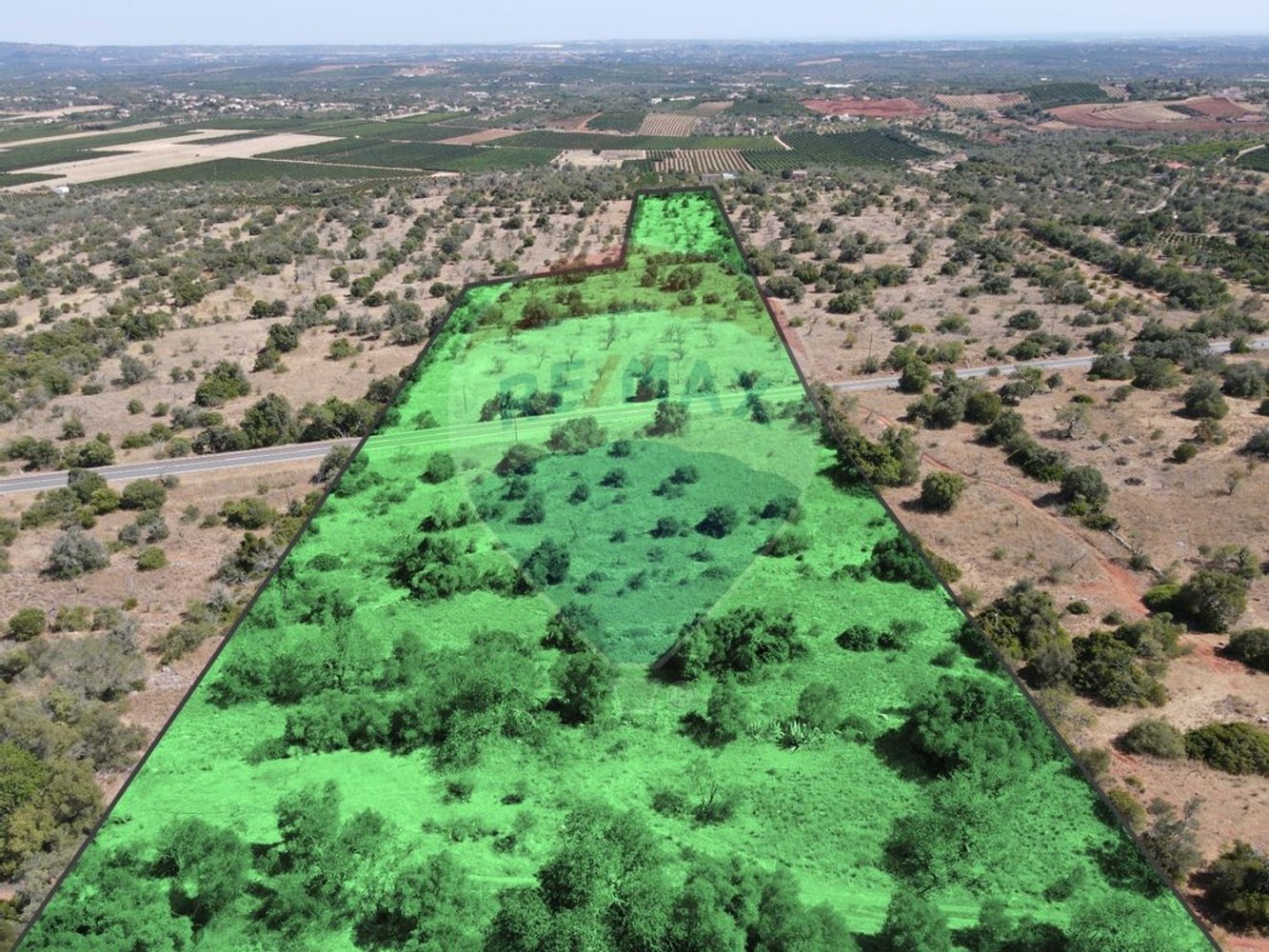  قطعة أرض في Sao Bartolomeu de Messines, Portugal 34640متر مربع رقم 35996