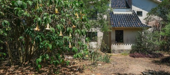 6 غرف نوم منزل في Cascais, Portugal رقم 169688 11