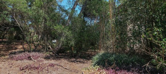 6 غرف نوم منزل في Cascais, Portugal رقم 169688 10