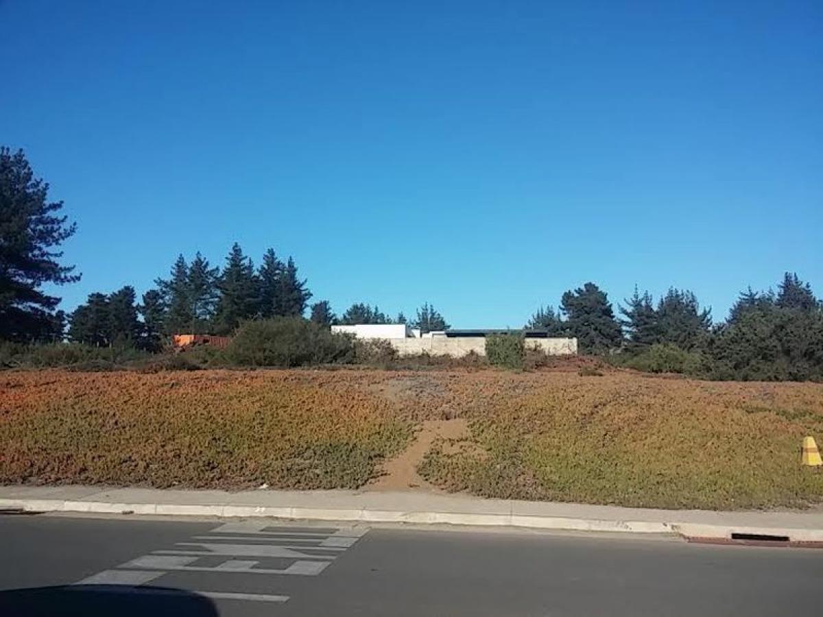 Grundstück in Valparaiso, Chile, Nr. 1298