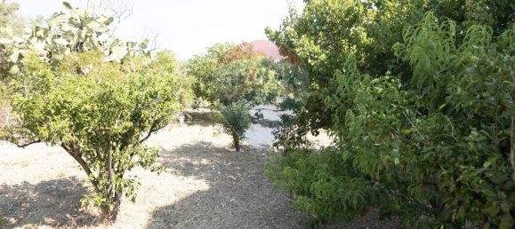 Villa de 2 dormitorios en Casteldaccia, Italy No. 320505 36