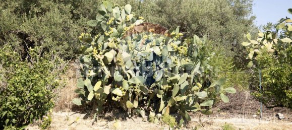 Villa de 2 dormitorios en Casteldaccia, Italy No. 320505 37