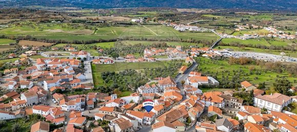 2 bedrooms House in Caria, Portugal No. 42185 13