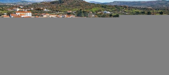 2 bedrooms House in Caria, Portugal No. 42185 35