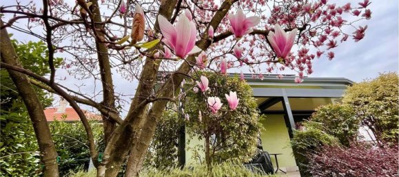 5-Zimmer Villa in Nerviano, Italy, Nr. 257718 41