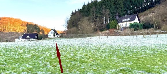 2 bedrooms House in Hochsauerlandkreis, Germany No. 19663 5