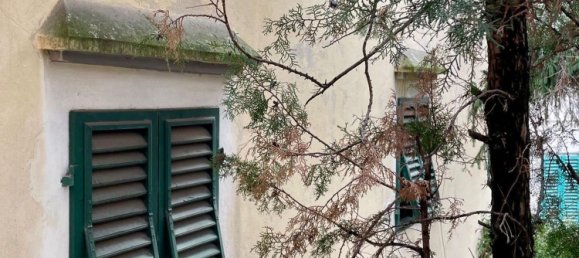 7 rooms House in Florence, Italy No. 192145 24