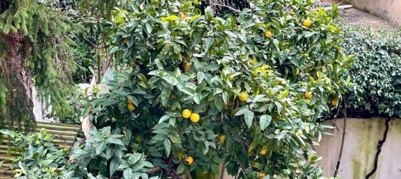 7 rooms House in Florence, Italy No. 192145 6