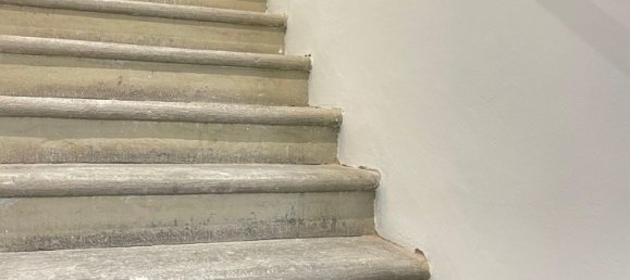 7 rooms House in Florence, Italy No. 192145 8