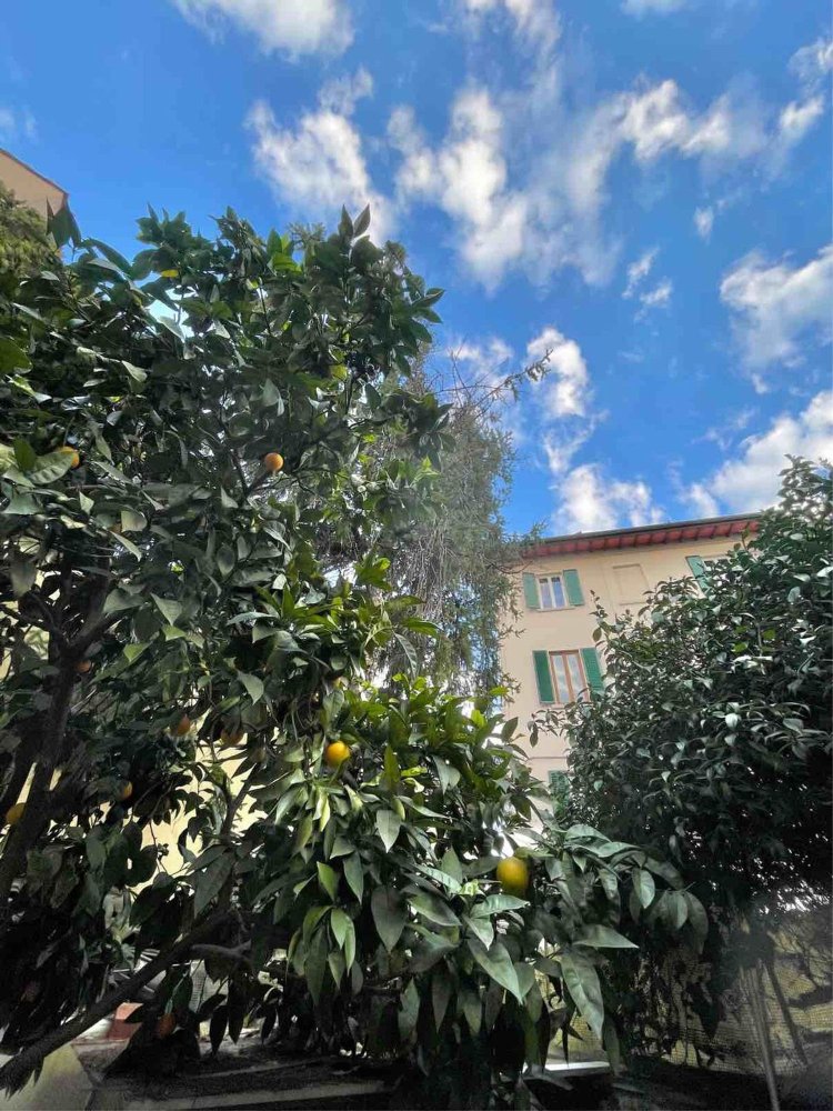 7 rooms House in Florence, Italy No. 192145