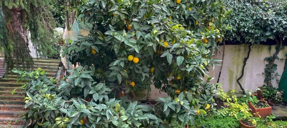 7 rooms House in Florence, Italy No. 192145 19