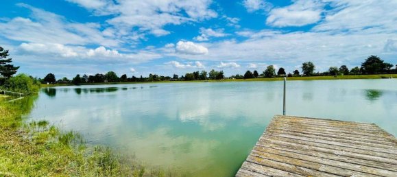 3 rooms Bungalow in Trausdorf an der Wulka, Austria No. 245064 14