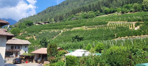 Casa de 4 divisões em Terzolas, Italy N.º 161616 23