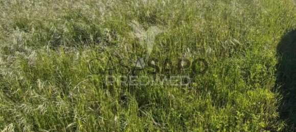  Land in Quarteira, Portugal No. 190581 4