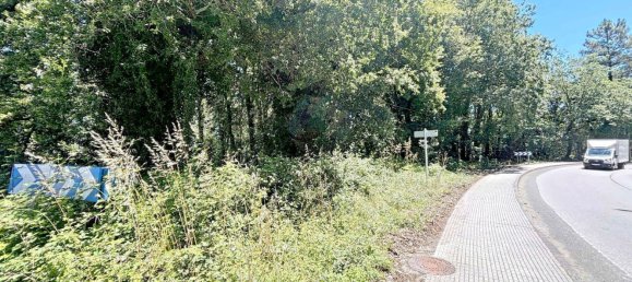  Land in A Estrada, Spain No. 58586 44