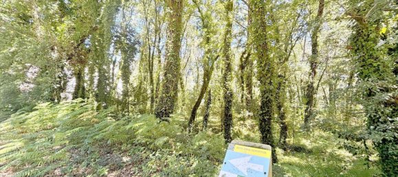  Land in A Estrada, Spain No. 58586 14