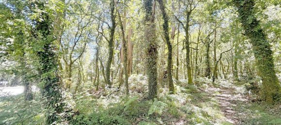  Land in A Estrada, Spain No. 58586 47