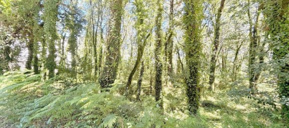  Land in A Estrada, Spain No. 58586 45