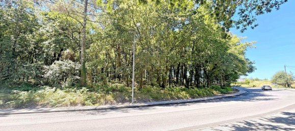  Land in A Estrada, Spain No. 58586 40