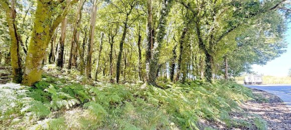  Land in A Estrada, Spain No. 58586 20