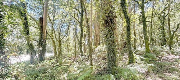  Land in A Estrada, Spain No. 58586 35