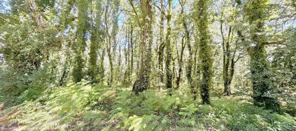  Land in A Estrada, Spain No. 58586 4