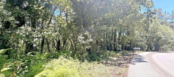  Land in A Estrada, Spain No. 58586 26