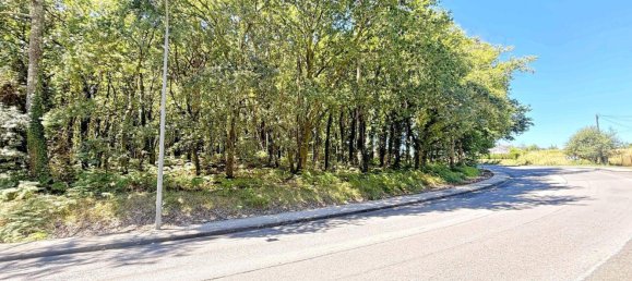  Land in A Estrada, Spain No. 58586 29