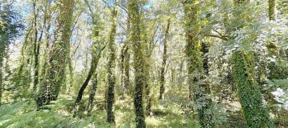  Land in A Estrada, Spain No. 58586 39