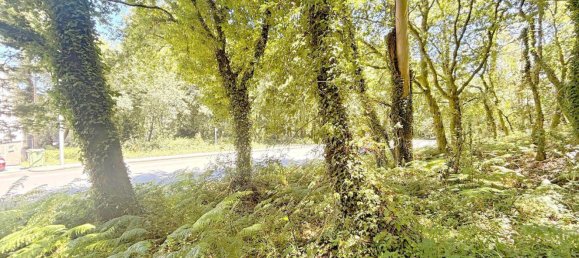  Land in A Estrada, Spain No. 58586 27