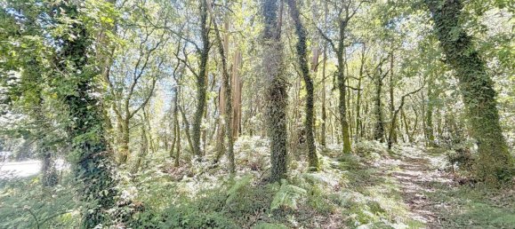  Land in A Estrada, Spain No. 58586 10