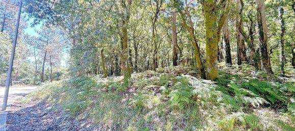  Land in A Estrada, Spain No. 58586 32