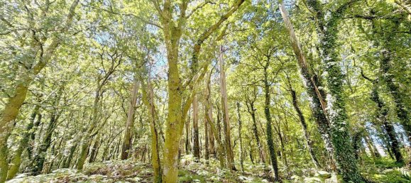  Land in A Estrada, Spain No. 58586 6