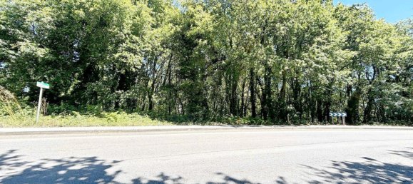  Land in A Estrada, Spain No. 58586 13