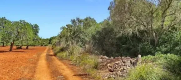 Casa T4 em Felanitx, Spain N.º 173911 27