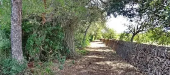 Casa T4 em Felanitx, Spain N.º 173911 3