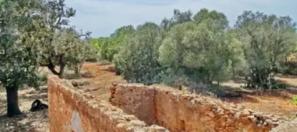 Casa T4 em Felanitx, Spain N.º 173911 16