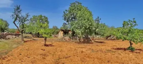 Casa T4 em Felanitx, Spain N.º 173911 24