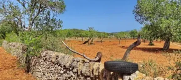 Casa T4 em Felanitx, Spain N.º 173911 25