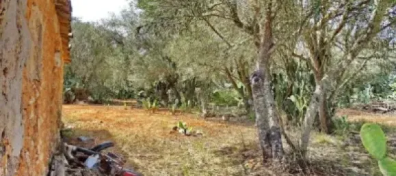 Casa T4 em Felanitx, Spain N.º 173911 8