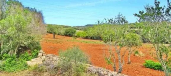 Casa T4 em Felanitx, Spain N.º 173911 30