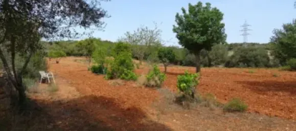 Casa T4 em Felanitx, Spain N.º 173911 28