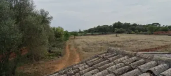 Casa T4 em Felanitx, Spain N.º 173911 32