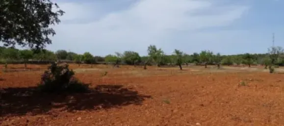 Casa T4 em Felanitx, Spain N.º 173911 26