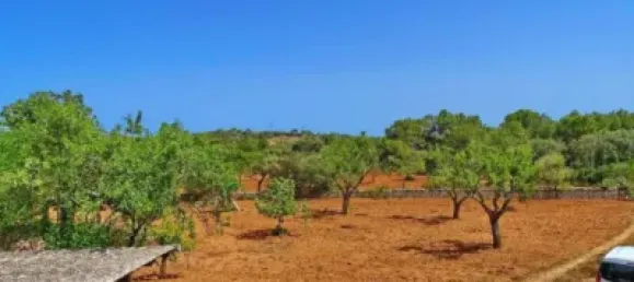 Casa T4 em Felanitx, Spain N.º 173911 17