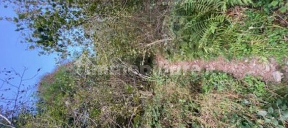 2 Schlafzimmer Haus in Valbondione, Italy, Nr. 347611 2