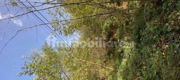 2 Schlafzimmer Haus in Valbondione, Italy, Nr. 347611 12